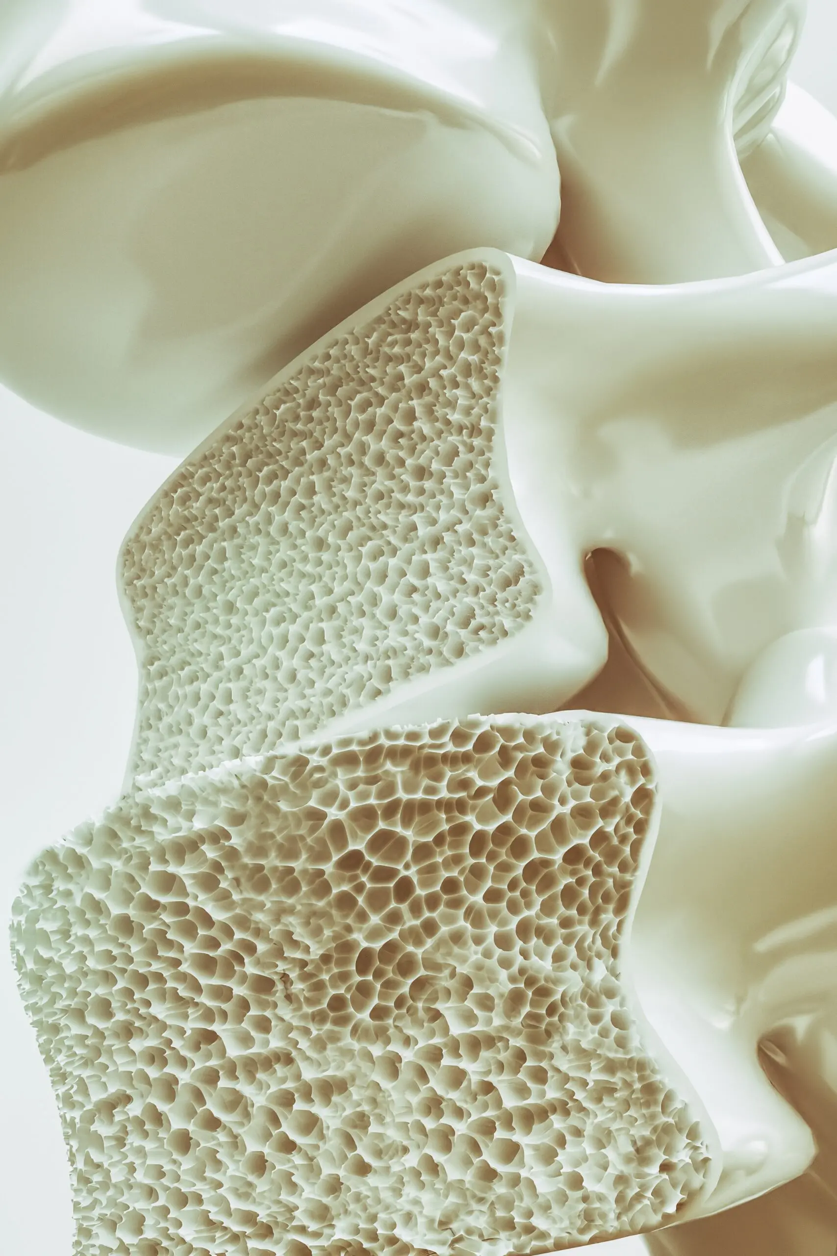 osteoporosetræning